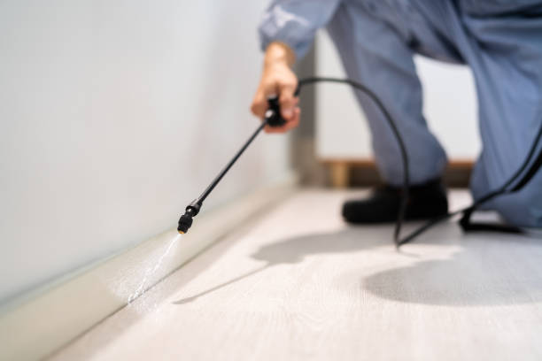 Licensed Cockroach Control service in Indian River, MI - Nex Pest Control