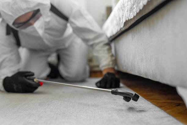 Professional Cockroach Control technician working in Indian River, MI