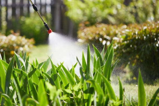 24/7 Emergency Cockroach Control experts in Indian River, MI