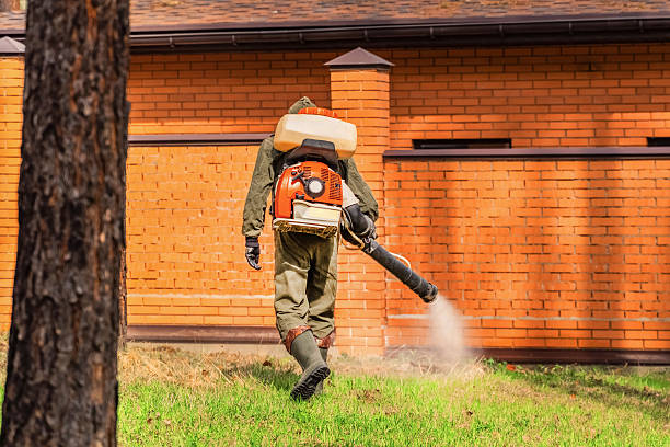 Trusted Emergency Pest Control service in Indian River, MI - Nex Pest Control